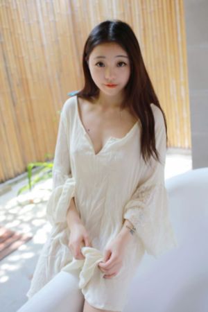 在屋顶上流浪