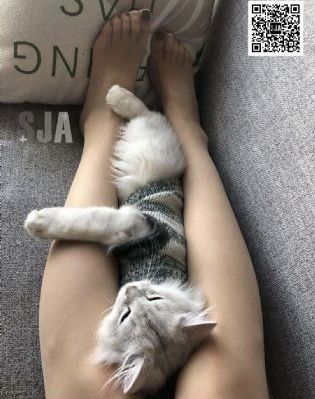 被强揉吻胸60分钟视频