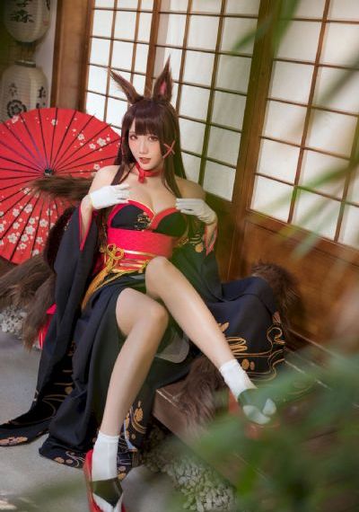 黑狐影视免费看