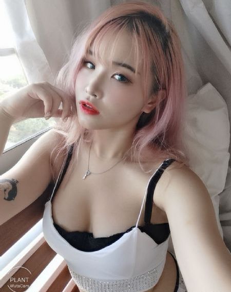 成全免费高清下载