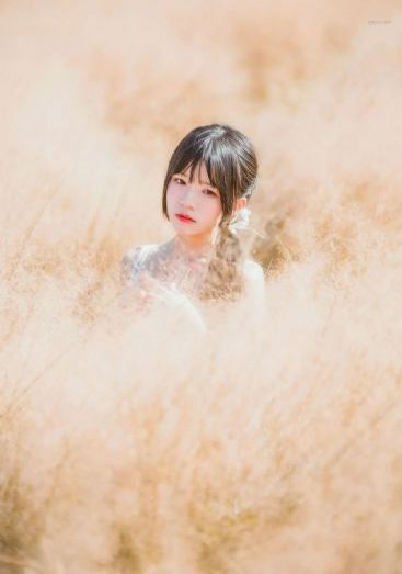 重生少年猎美小说