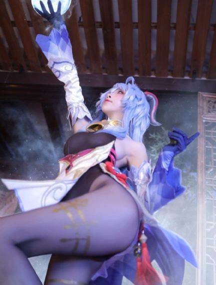 森林进化论2