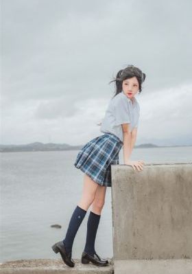 主君的太阳